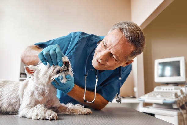 Best Emergency Root Canal Treatment in Flowood, MS
